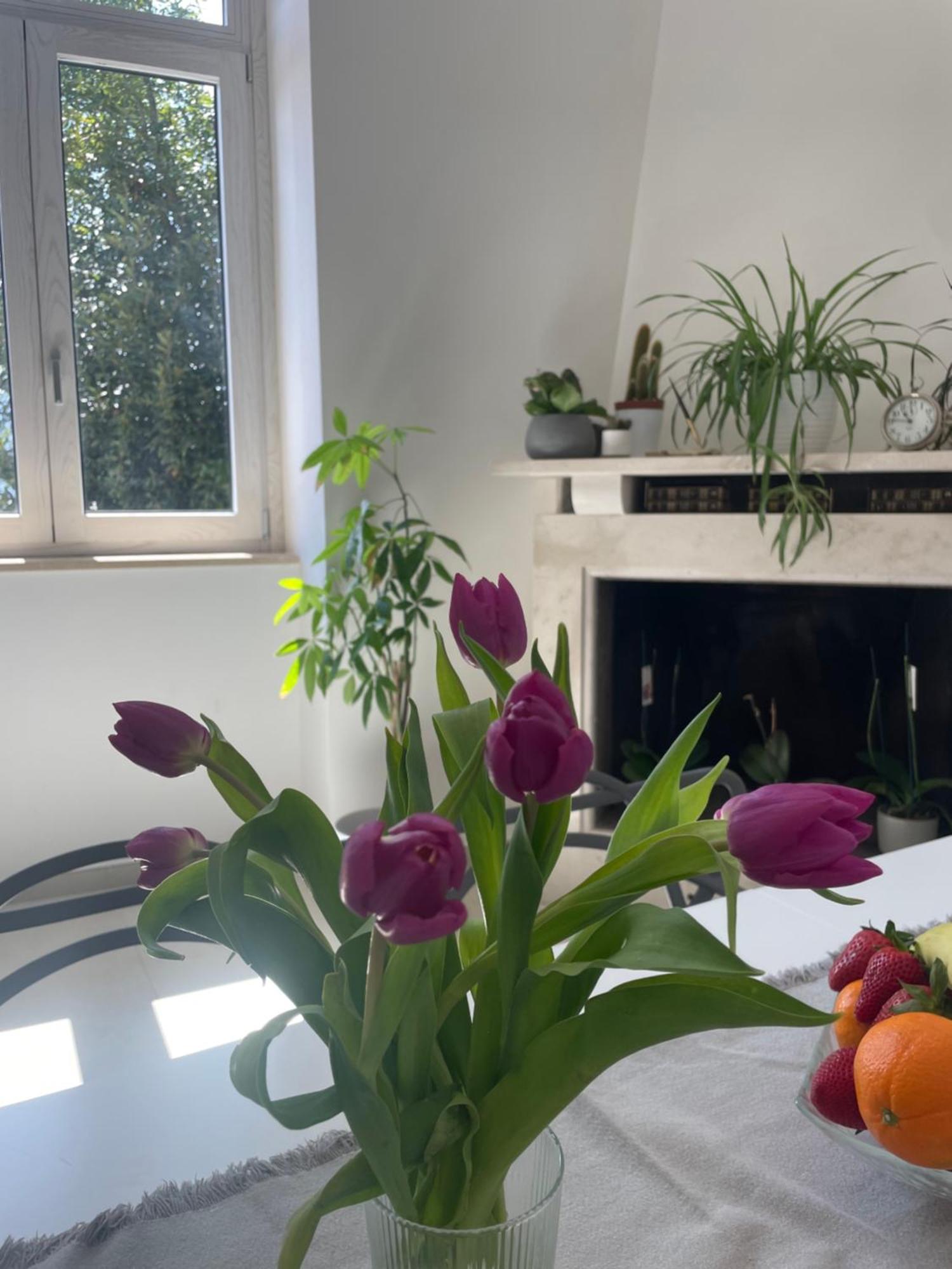 Appartement La Casa De Lu Barone à San Demetrio ne' Vestini Extérieur photo